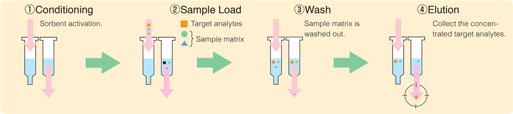 General Steps of SPE