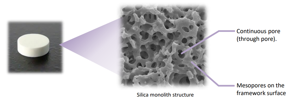 MonoSpin silica monolith structure